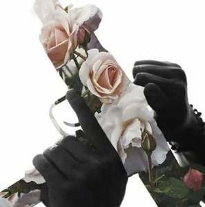 Meet your Posher, Lexx